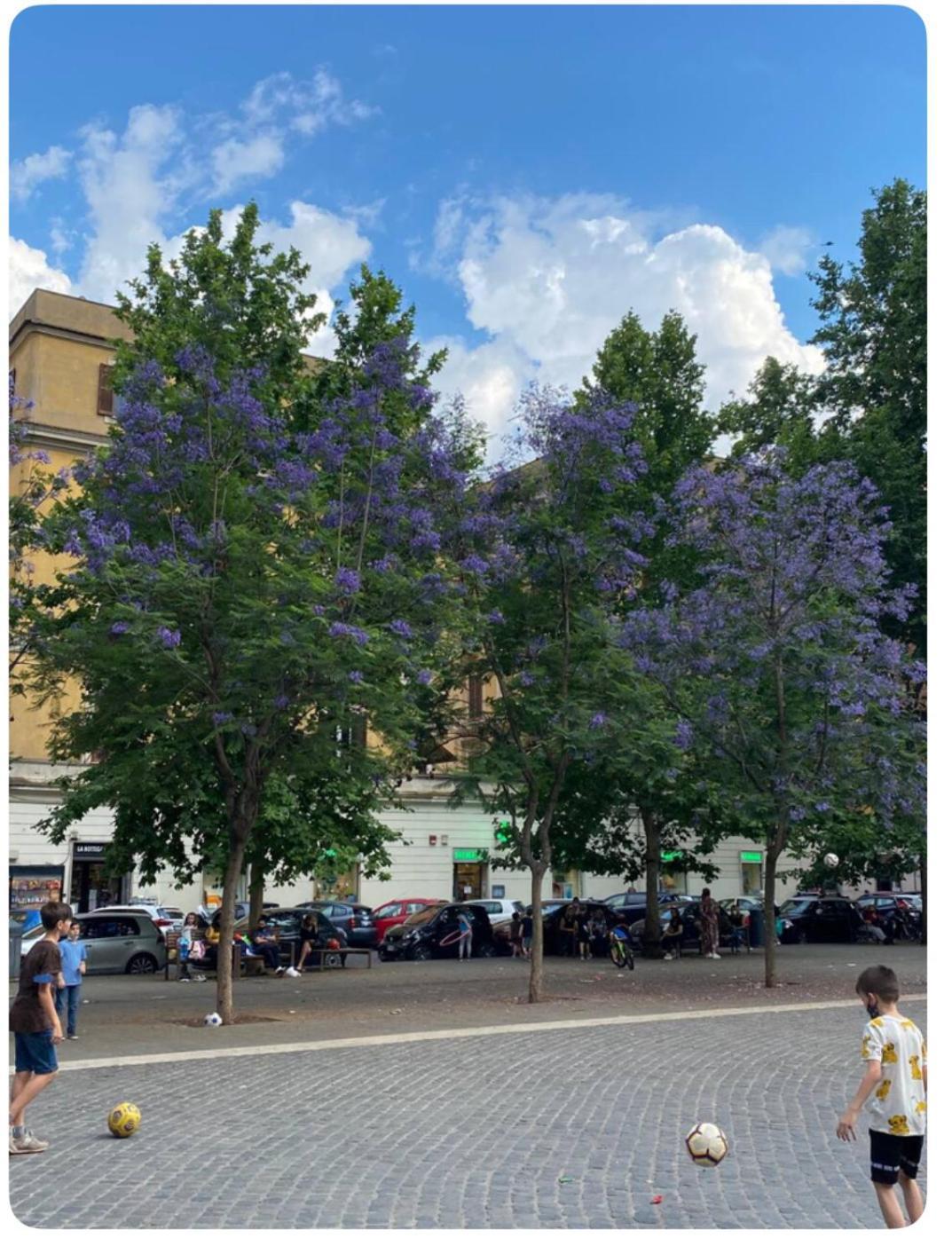 Testaccio Historic House Рим Екстериор снимка